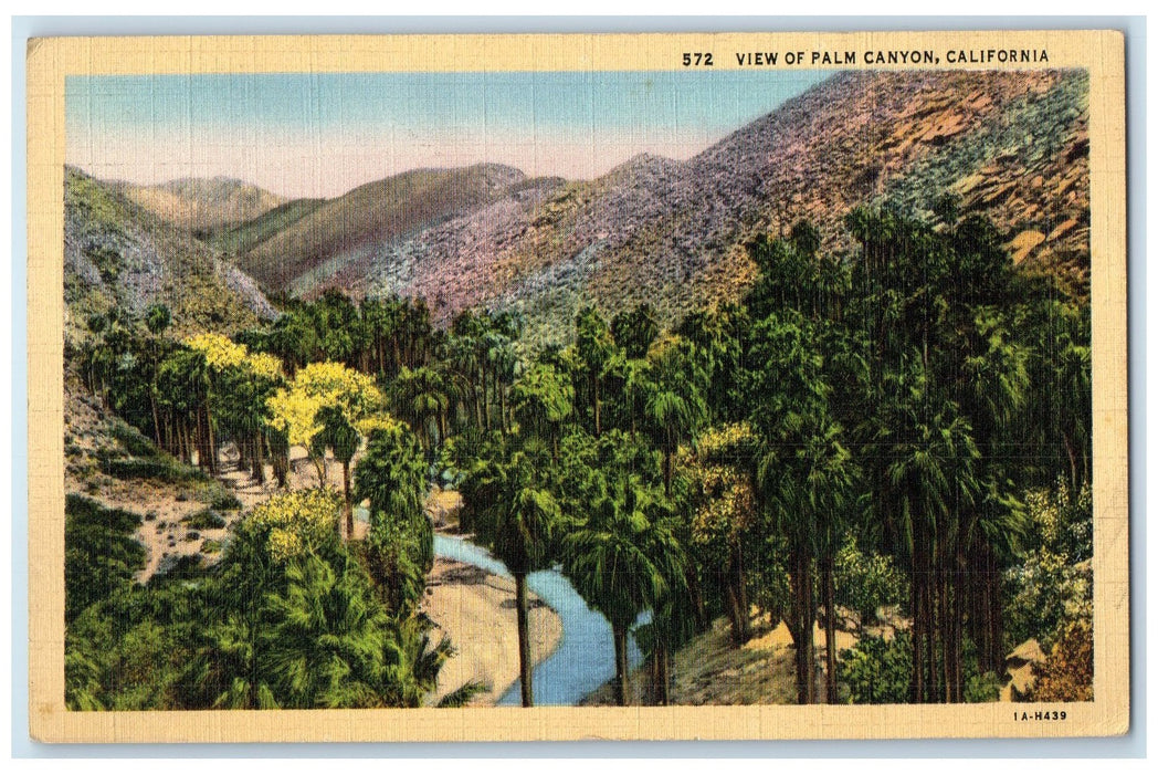 1942 View Of Palm Canyon Trees And Mountains Palm Springs California CA Postcard