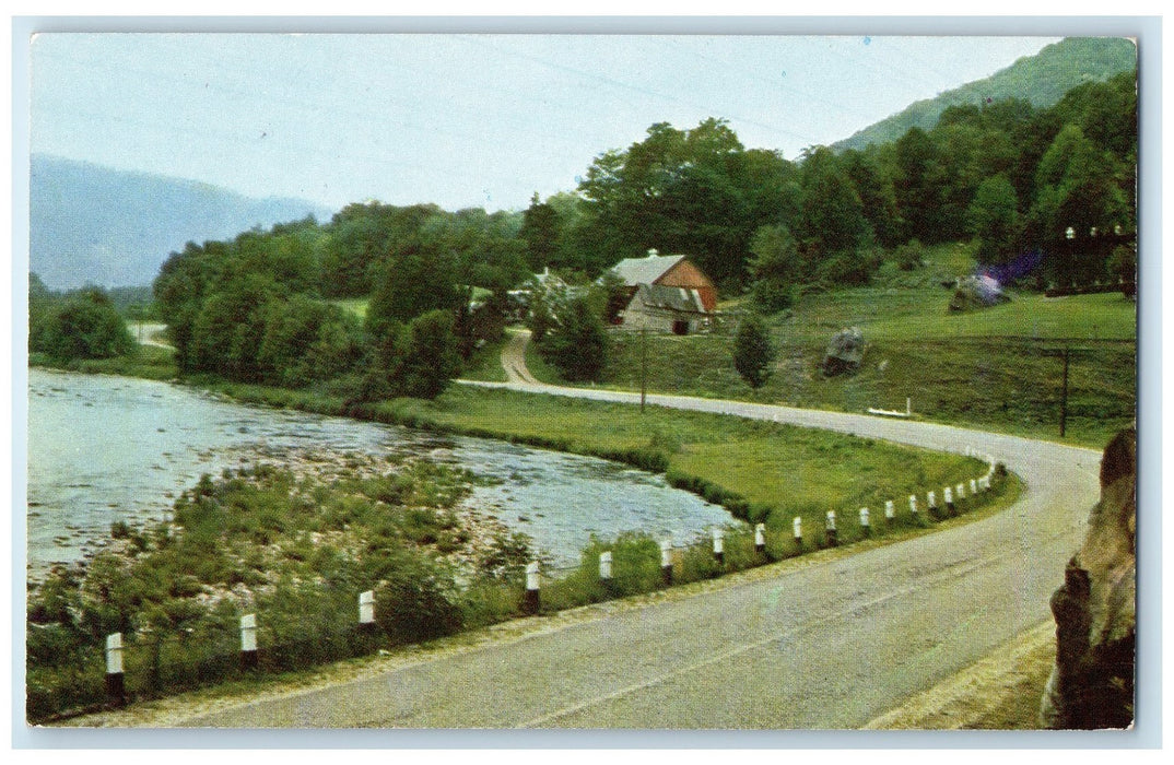 1955 Greetings From Hillsboro Dirty Curve Road Lake River Wisconsin Postcard