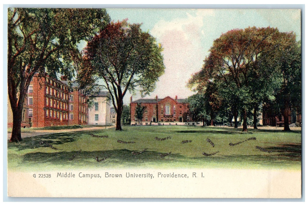 c1905's Middle Campus Brown University Providence Rhode Island RI Trees Postcard