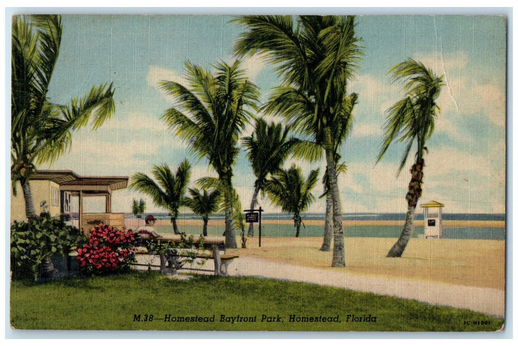 c1940's Homestead Bayfront Park Trees Scene Homestead Florida FL Posted Postcard