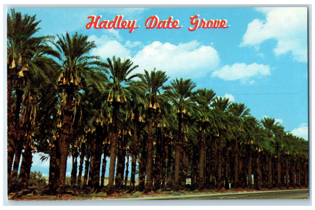 c1950 Hadley Date Grove Top Quality Farm Valley Coachella California CA Postcard