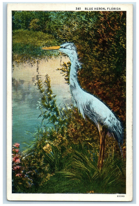 1935 Blue Heron Large Wading Bird Seen Near Shore Open Water Florida FL Postcard