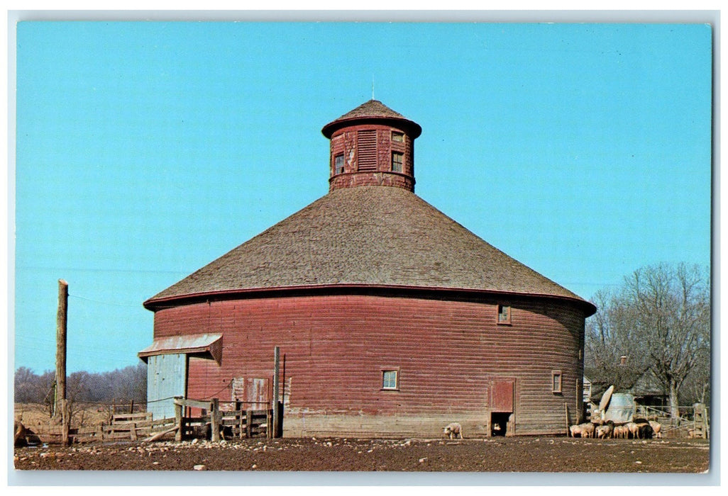 c1950's One Of Several Round Barns Pigs Farm Parke County Indiana IN Postcard