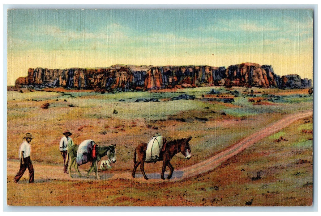1945 Two Men's With The Loaded Donkeys Acoma The Sky City New Mexico NM Postcard