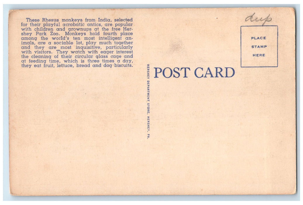 c1940 Rhesus Monkeys Luncheon Hershey Park Zoo Hershey Pennsylvania PA Postcard