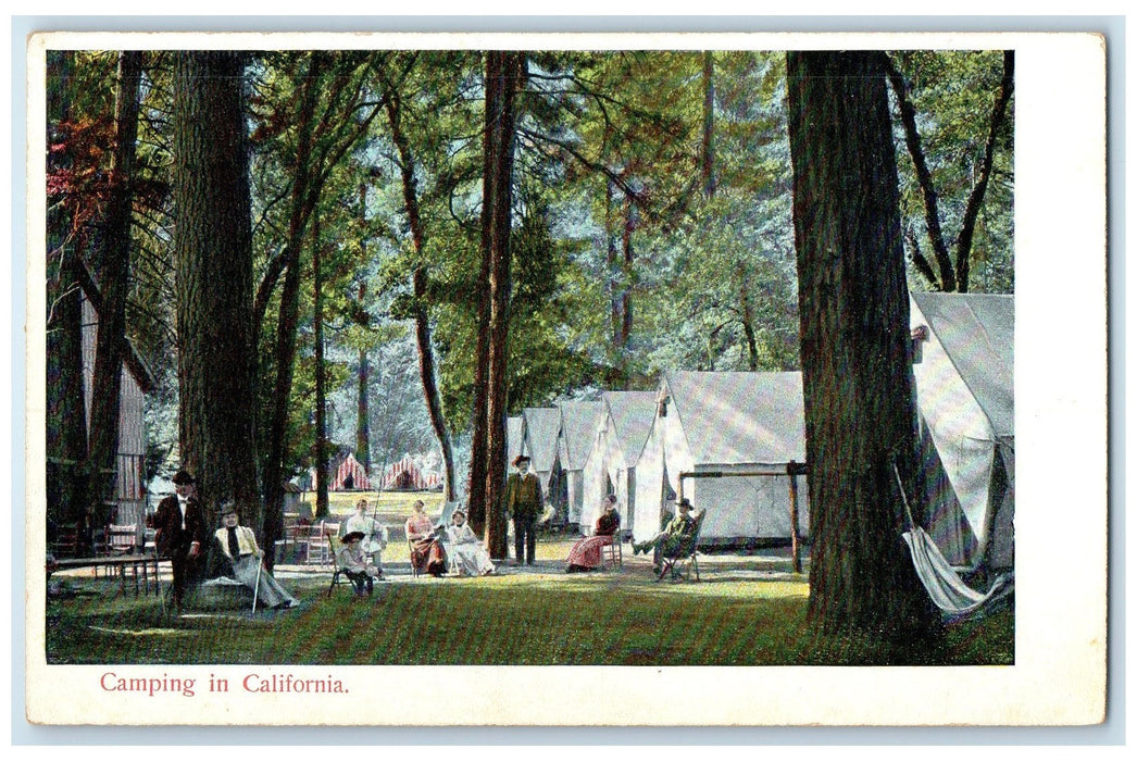 c1920's Camping Campers Lined Tents Forest Groves View In California CA Postcard