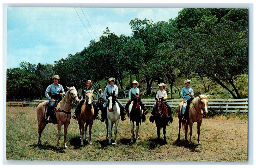 c1950's English & Western Style Riding Horse Arrowhead Hunt Texas TX Postcard