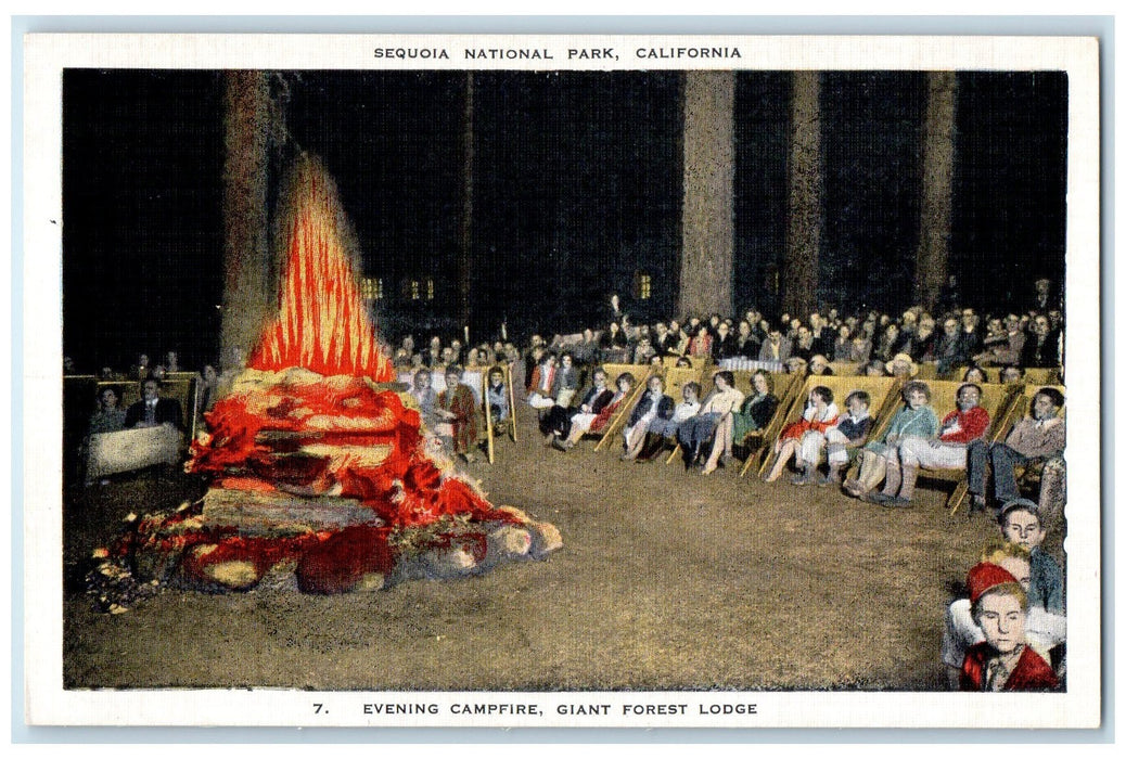 c1950's Evening Campfire Giant Forest Lodge View Sequoia California CA Postcard