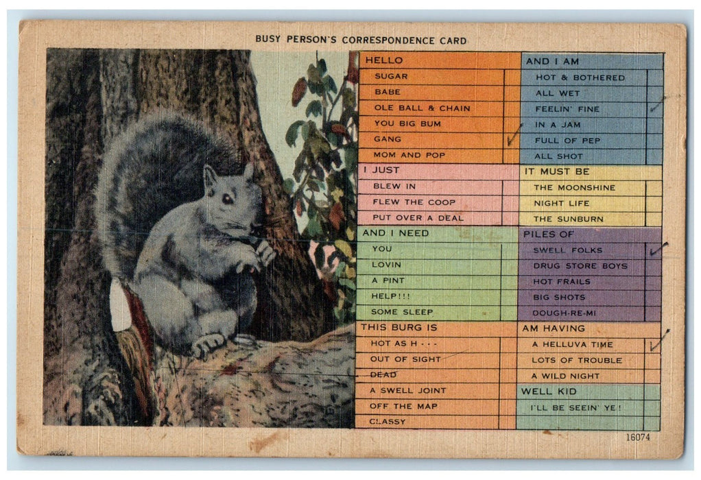 1946 Gray Squirrel Quick Flexible Woods Best Juices New Hampshire NH Postcard