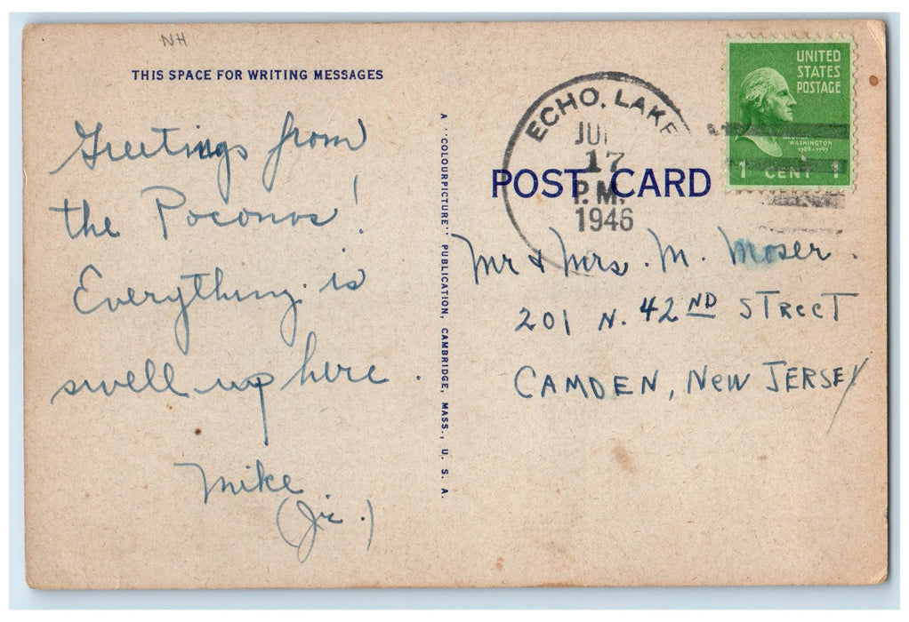 1946 Gray Squirrel Quick Flexible Woods Best Juices New Hampshire NH Postcard