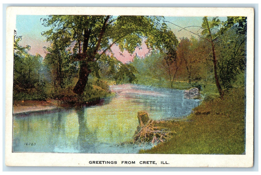 c1920's Greetings From Crete River Lake Trees Forest View Illinois IL Postcard