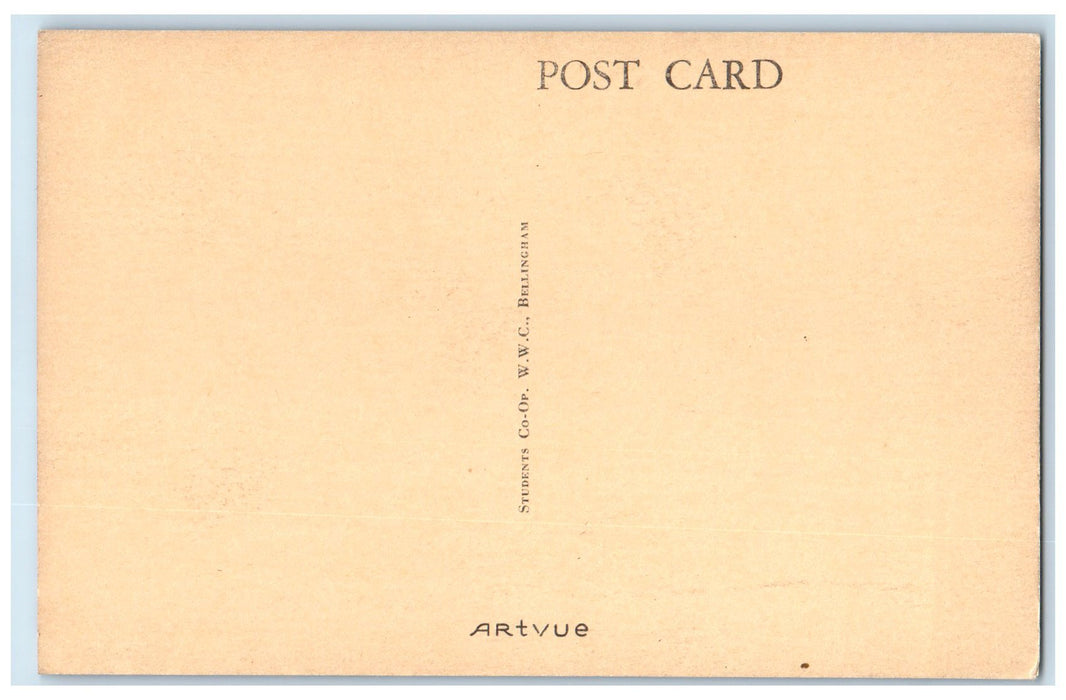 c1910 Campus Building Air View Western Washington College Bellingham WA Postcard