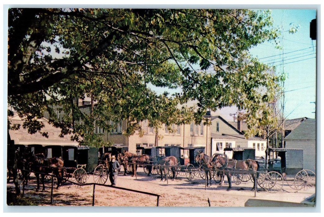 c1950 Old Fashioned Parking Lot Carriage Horse Buggy Sugarcreek Ohio OH Postcard