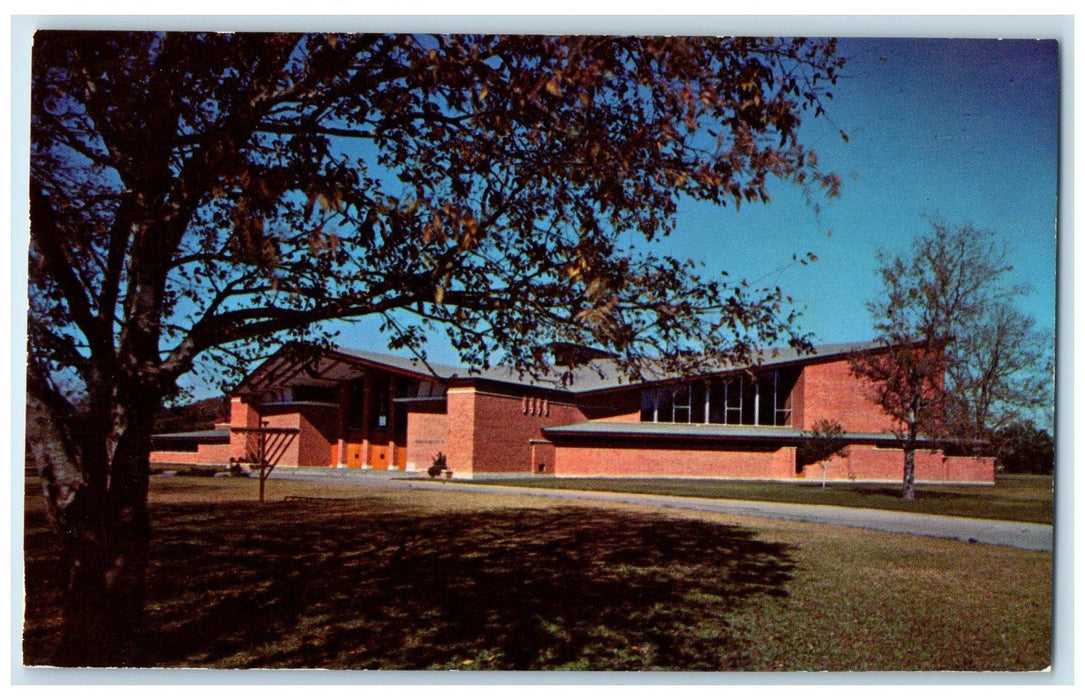 c1950 Temple El Manuel Building Road Side Trees Ground Houston Texas TX Postcard