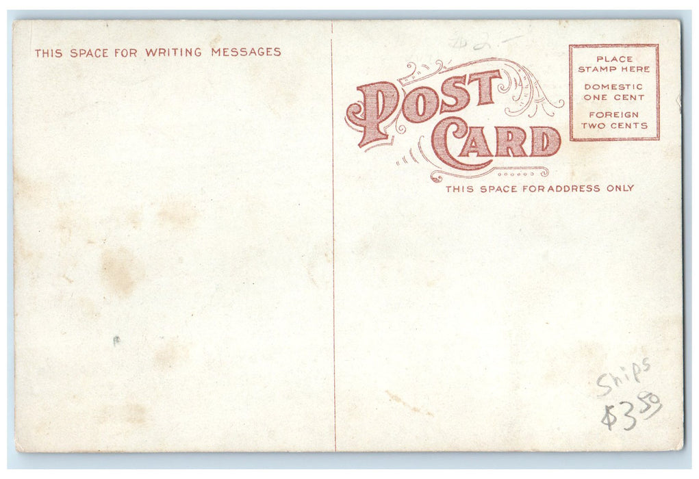 c1910s The Patten And Forest At Wharf Chattanooga Tennessee TN Unposted Postcard