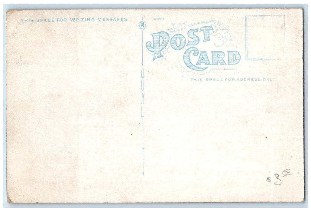 c1920s Excursion Boats On Detroit River Leaving Border Cities Canada CA Postcard