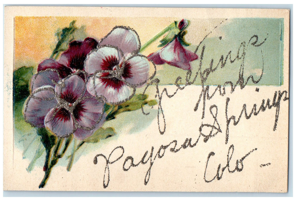 c1920's Greetings From Payosa Springs Flowers View Colorado CO Unposted Postcard