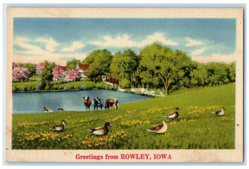 c1940's Greetings From Rowley Iowa IA Unposted Ducks And Cows River Postcard