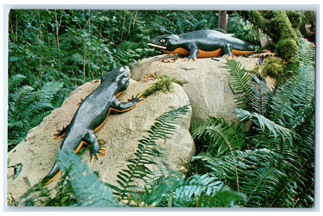 c1966 Seymouria Grandfather Reptile View Prehistoric Gardens Oregon OR Postcard