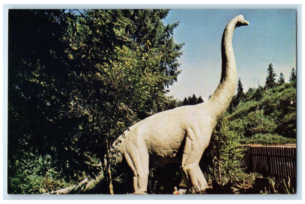 c1950's Brachiosaurus Arm Lizard 86 Feet Prehistoric Gardens Oregon OR Postcard