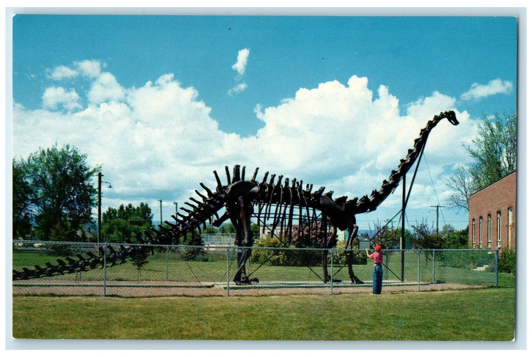 c1950 Diploducos Replica Field House Of Natural History Vernal Utah UT Postcard
