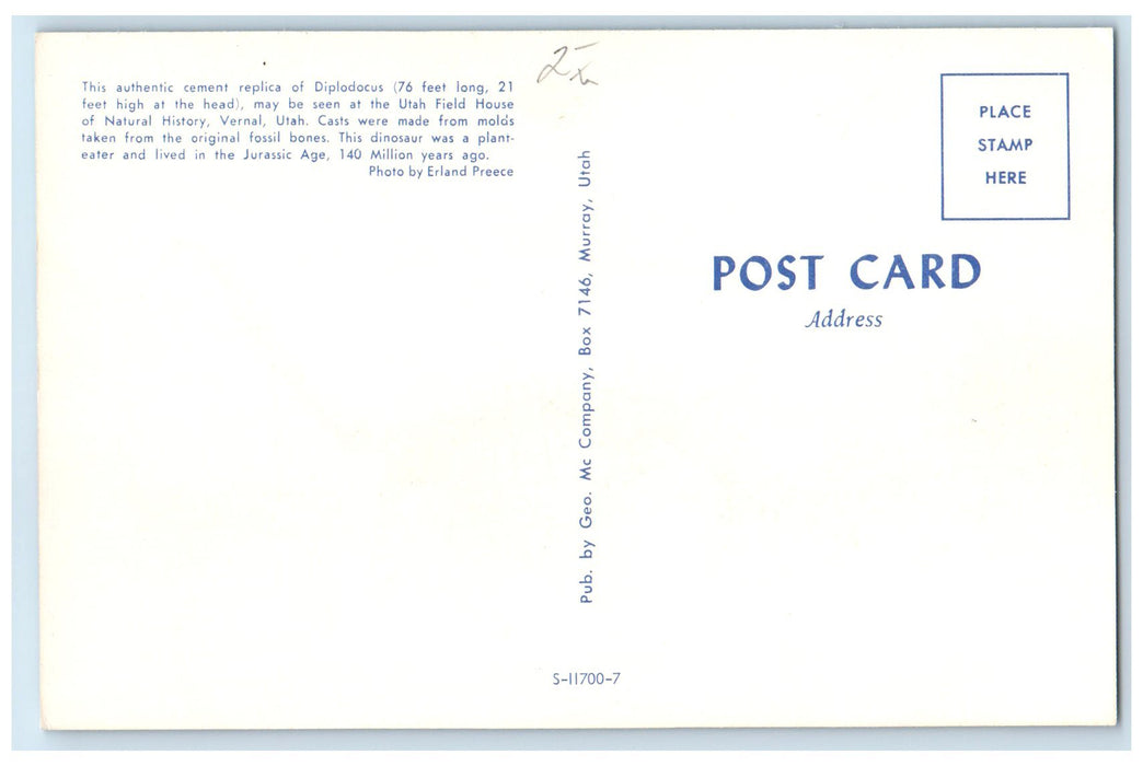 c1950 Diploducos Replica Field House Of Natural History Vernal Utah UT Postcard