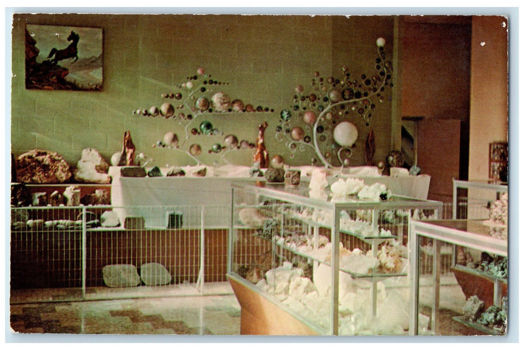 c1950's In The Paul Broste Rock Museum View At Parshall North Dakota ND Postcard