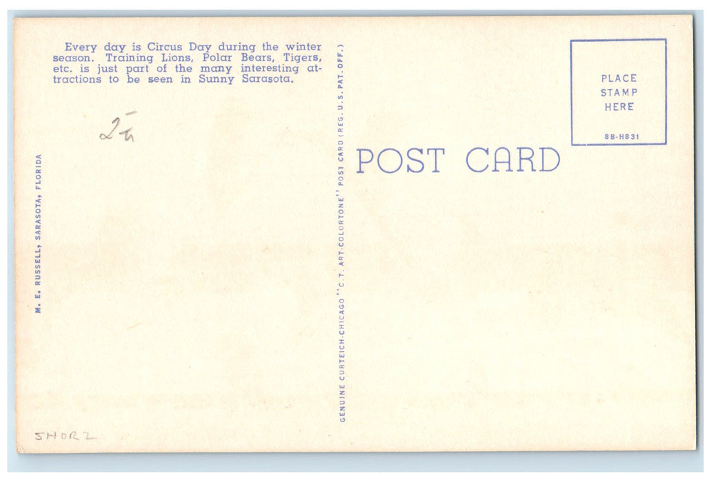 c1950 Training Ringling Bros. & Barnum & Bailey Circus Sarasota Florida Postcard