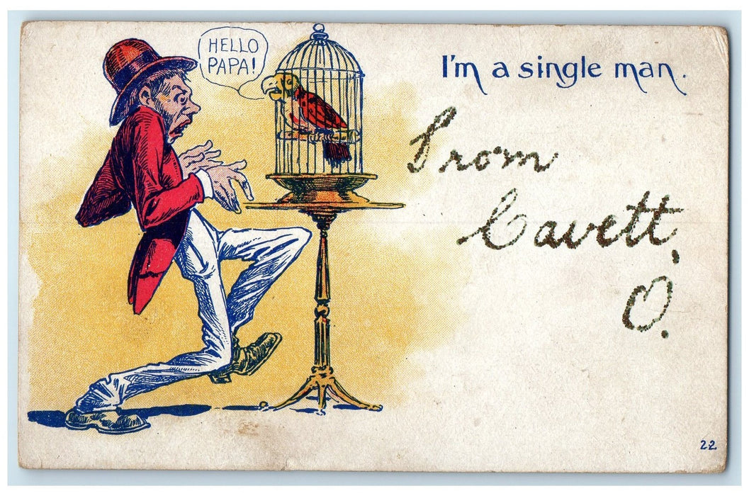 c1910's Im A Single Man Parrot On Cage From Cavett Ohio OH Unposted Postcard