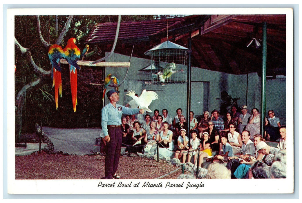 c1920's Parrot Bowl At Miami's Show Audience Parrot Jungle Florida FL Postcard