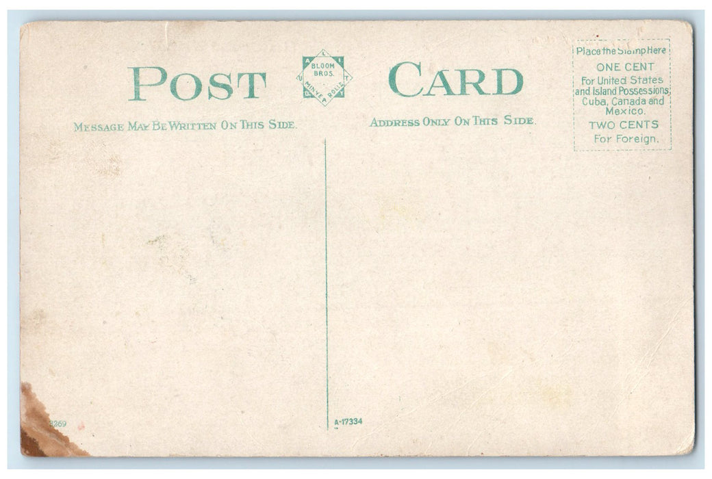 c1910's Steamer Read Wing Passenger River Boat Ship Wabasha Minnesota Postcard