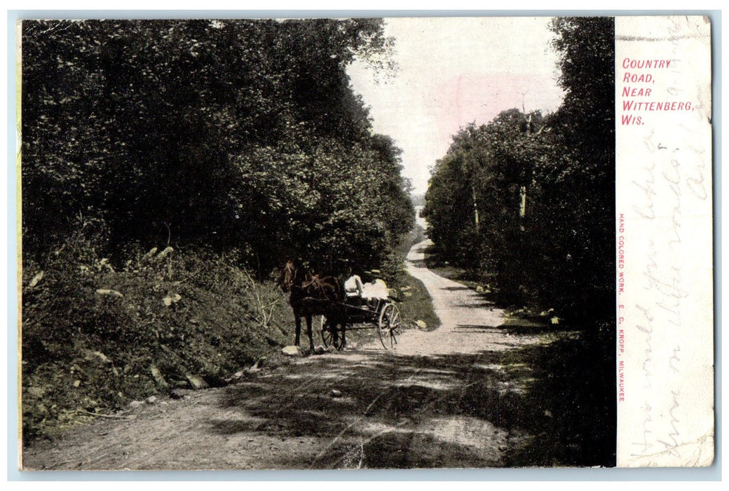 1906 Country Road Carriage Near Wittenberg Wisconsin WI Posted Horse Postcard