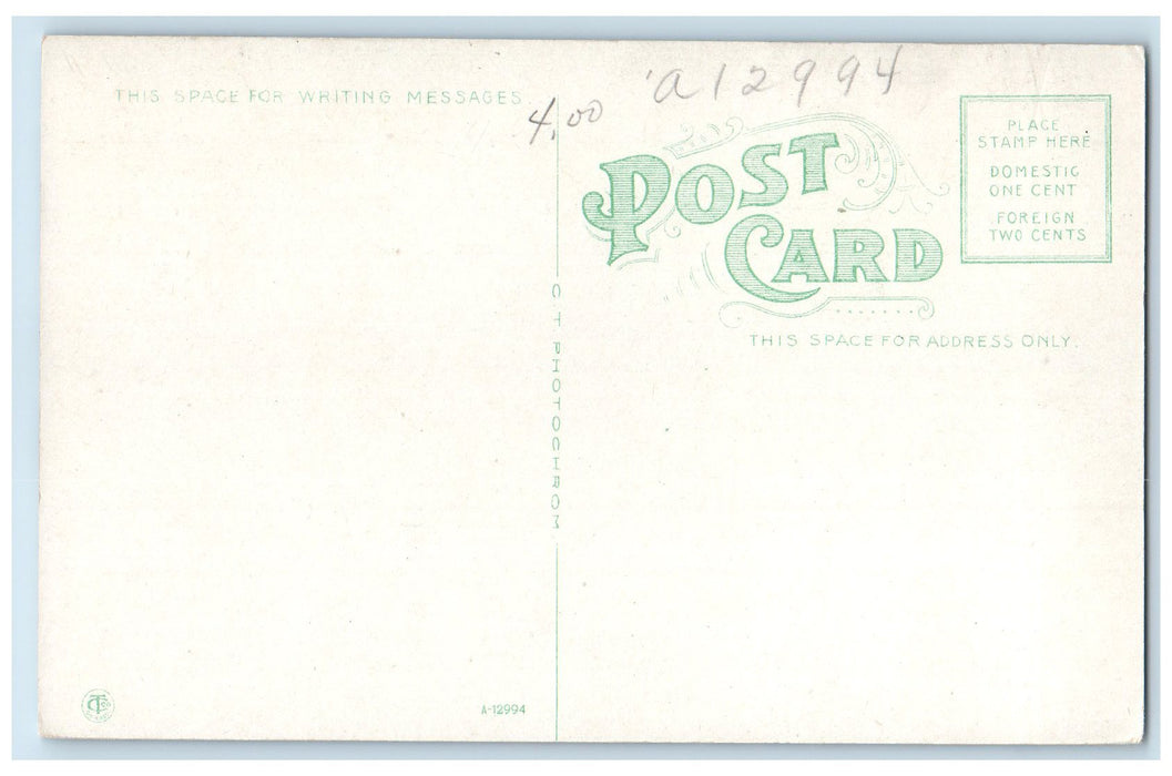 c1910's Buffalo's Coney Island Bathing View Crowd Crystal Beach Canada Postcard