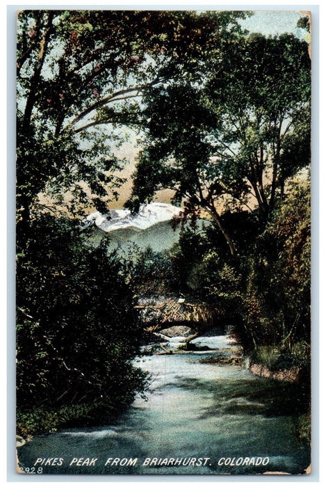 1909 Pikes Peak River Grove Trees From Briarhurst Colorado CO Posted Postcard