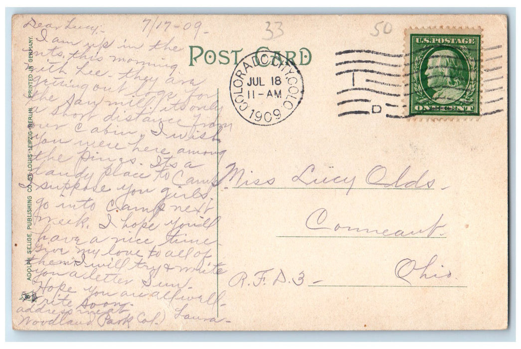 1909 Pikes Peak River Grove Trees From Briarhurst Colorado CO Posted Postcard