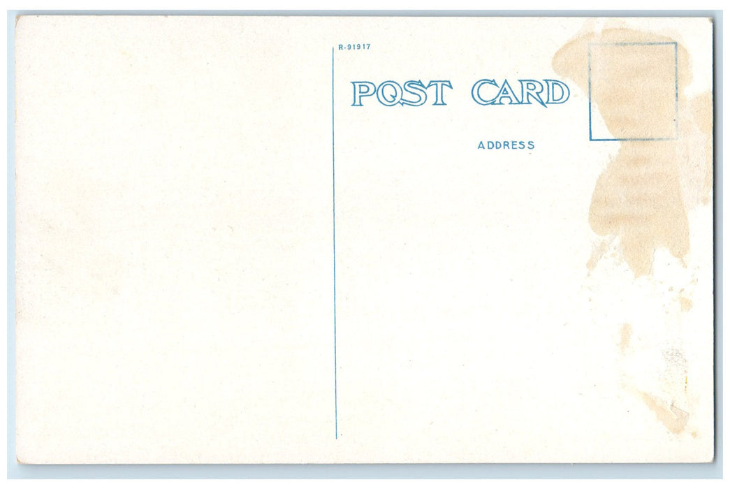 c1920 Waunita Hot Radium Springs Trails Pines Gunnison County Colorado Postcard