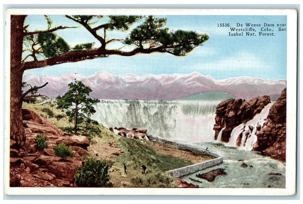 c1920's De Weese Dam Falls Trees Stones Near Westcliffe Colorado CO Postcard