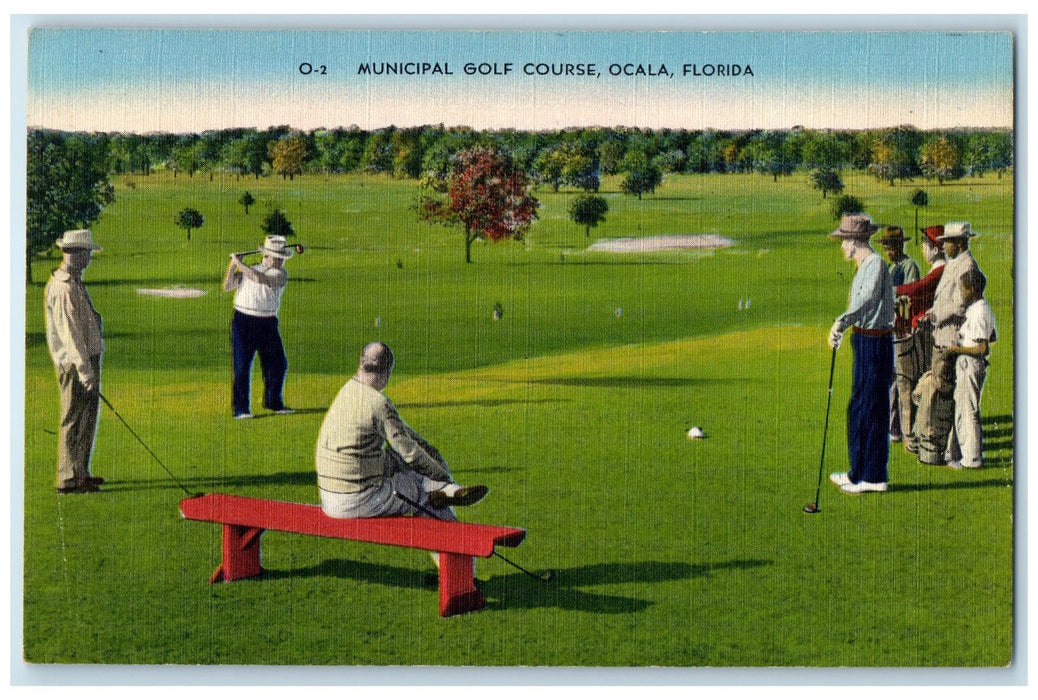 c1940's Municipal Golf Course Golfing Scene Ocala Florida FL Unposted Postcard