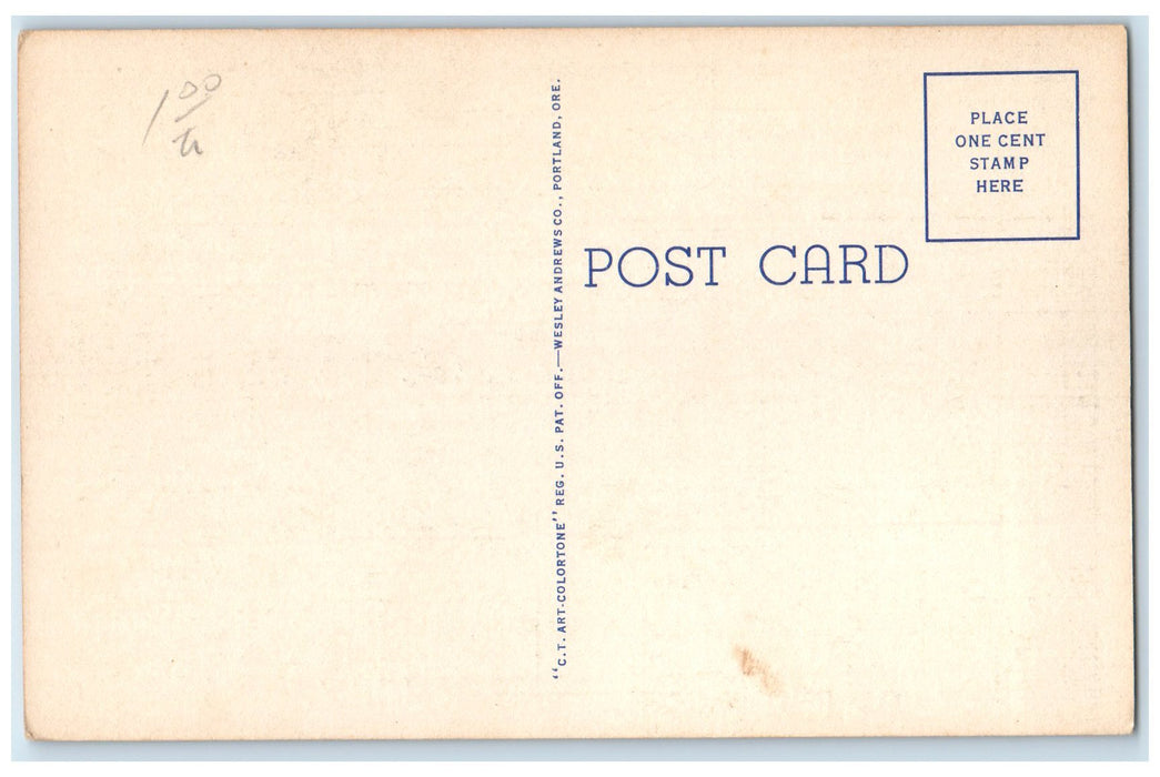 c1940's Celilo Falls Columbia River Scene Portland Oregon OR Unposted Postcard