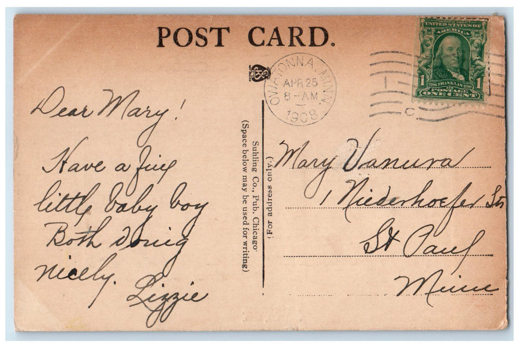 1908 Mineral Springs Trees Scene Owatonna Minnesota MN Posted Vintage Postcard