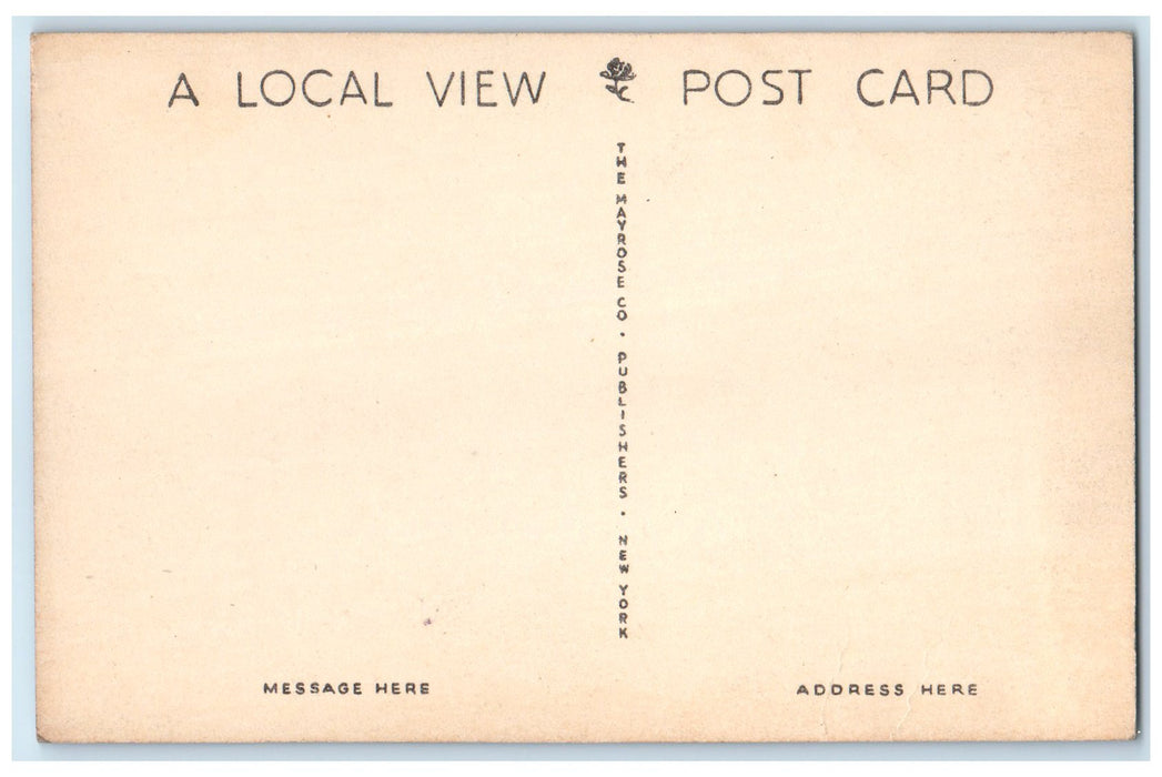 c1910's Looking North On Market Street Pocomoke City Maryland Unposted Postcard