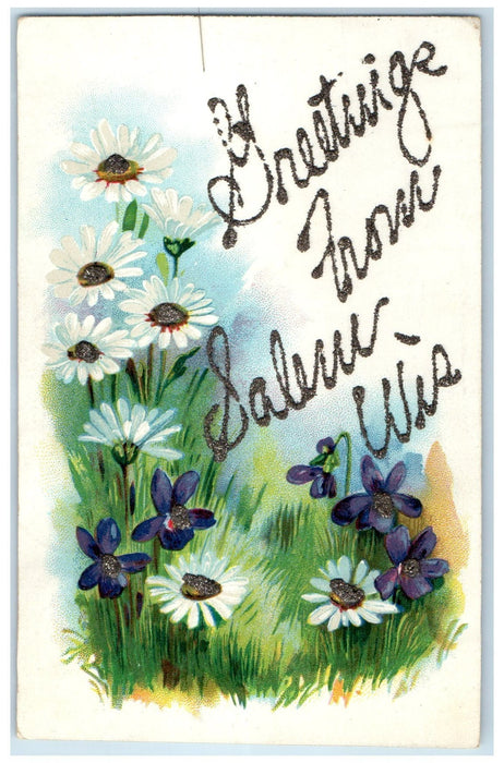 1910 Greetings From Salem Wisconsin WI Posted Painted Flowers & Leaves Postcard