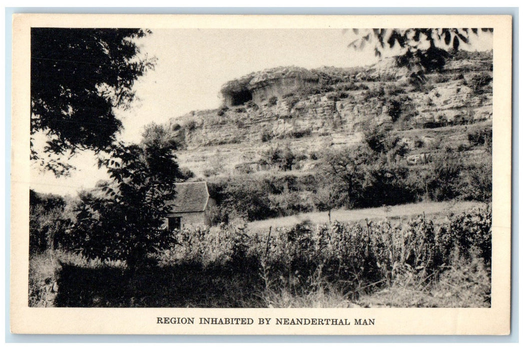 c1940s Field Museum Of Natural History Rock-Shelter Chicago Illinois IL Postcard
