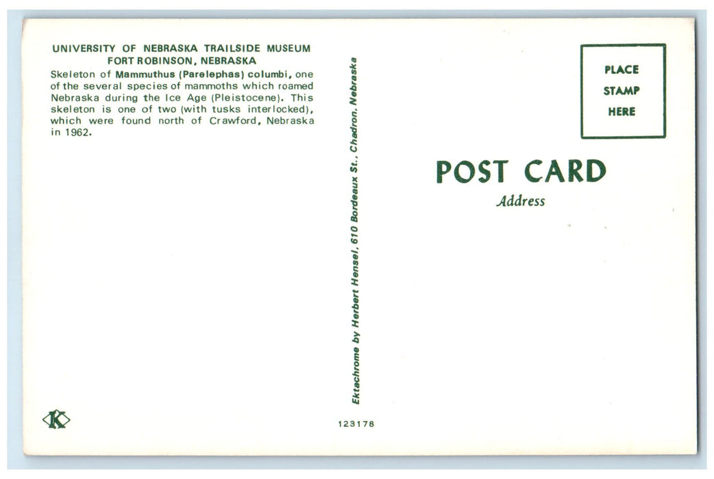 c1960s Mammuthus Parelephas Columbi At Museum Fort Robinson Nebraska NE Postcard