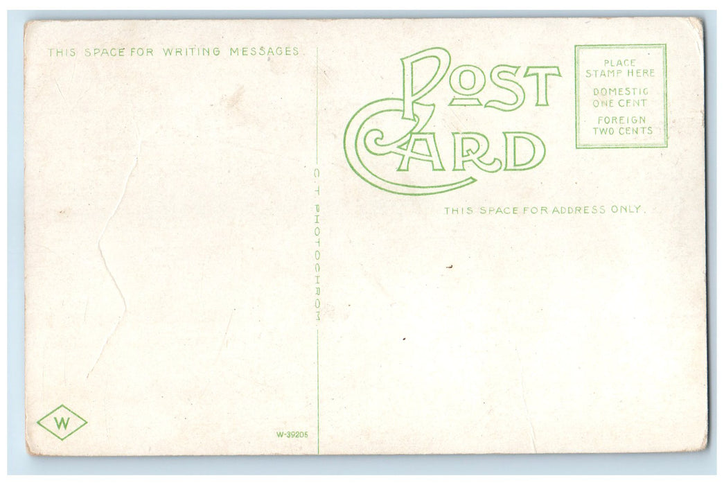 c1910's Morningside College Exterior Sioux City Iowa IA Unposted Trees Postcard