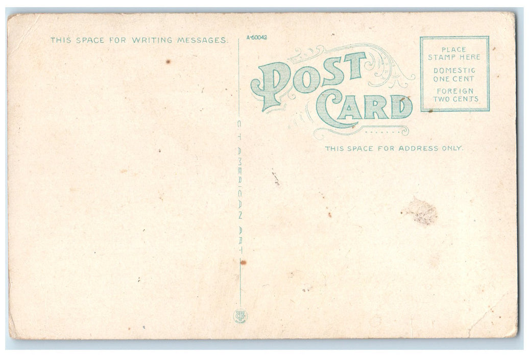 c1910s YMCA Building Exterior Roadside Fort Dodge Iowa IA Unposted Flag Postcard