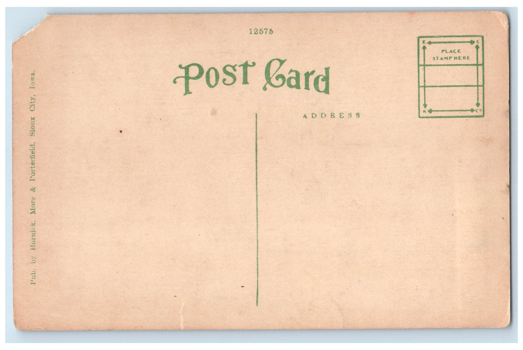 c1920s Saint Joseph Hospital Exterior Sioux City Iowa IA Unposted Trees Postcard