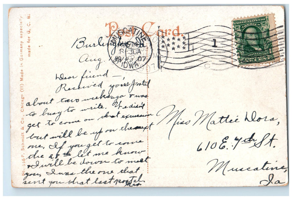 1907 Starr's Cave Scene Trees Near Burlington Iowa IA Posted Vintage Postcard