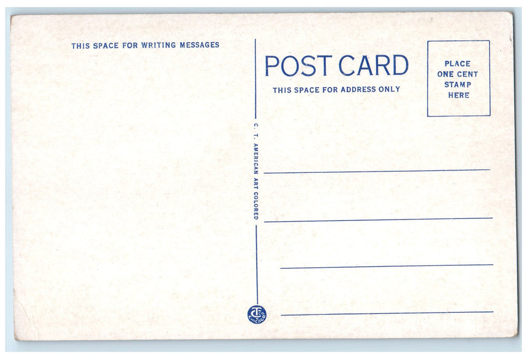 c1940s Bluff Drive Scene Country Road Burlington Iowa IA Unposted Trees Postcard