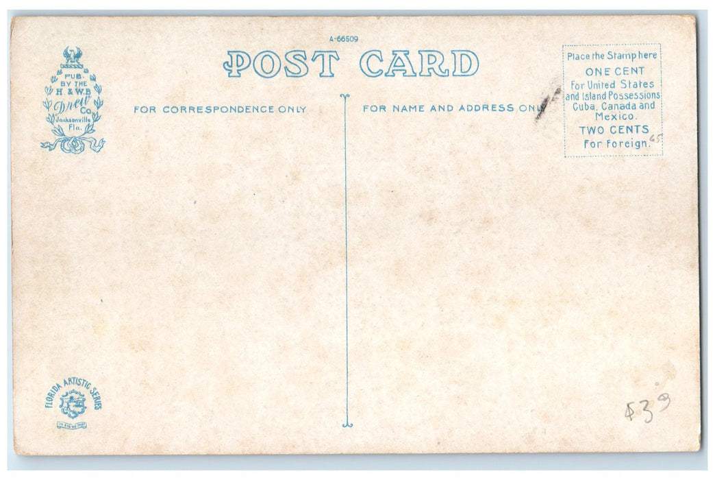 c1920's Bay Street Looking West Buildings Jacksonville Florida FL Cars Postcard